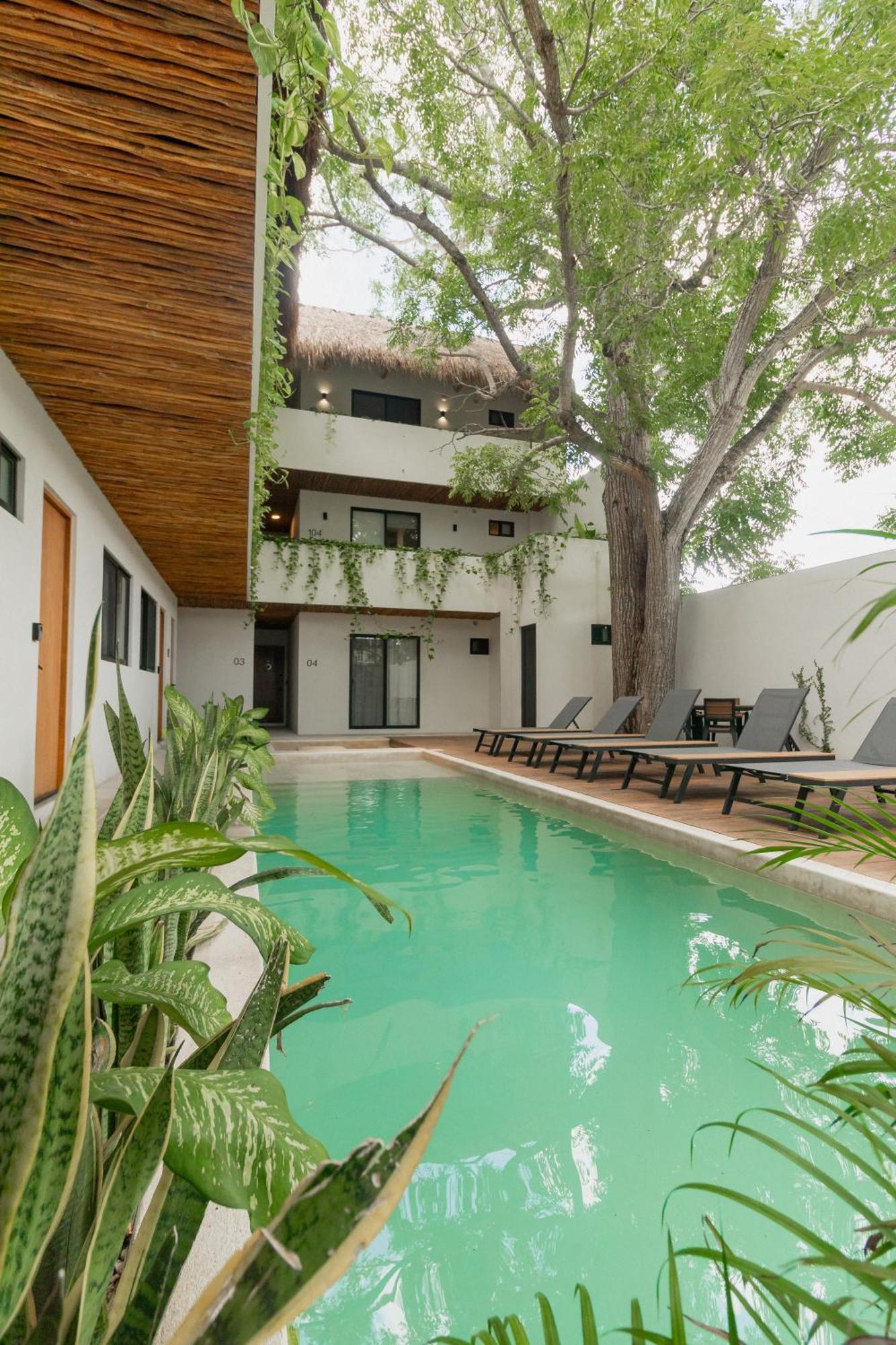 Cozy Apartment With Pool In Bacalar Center Exteriör bild
